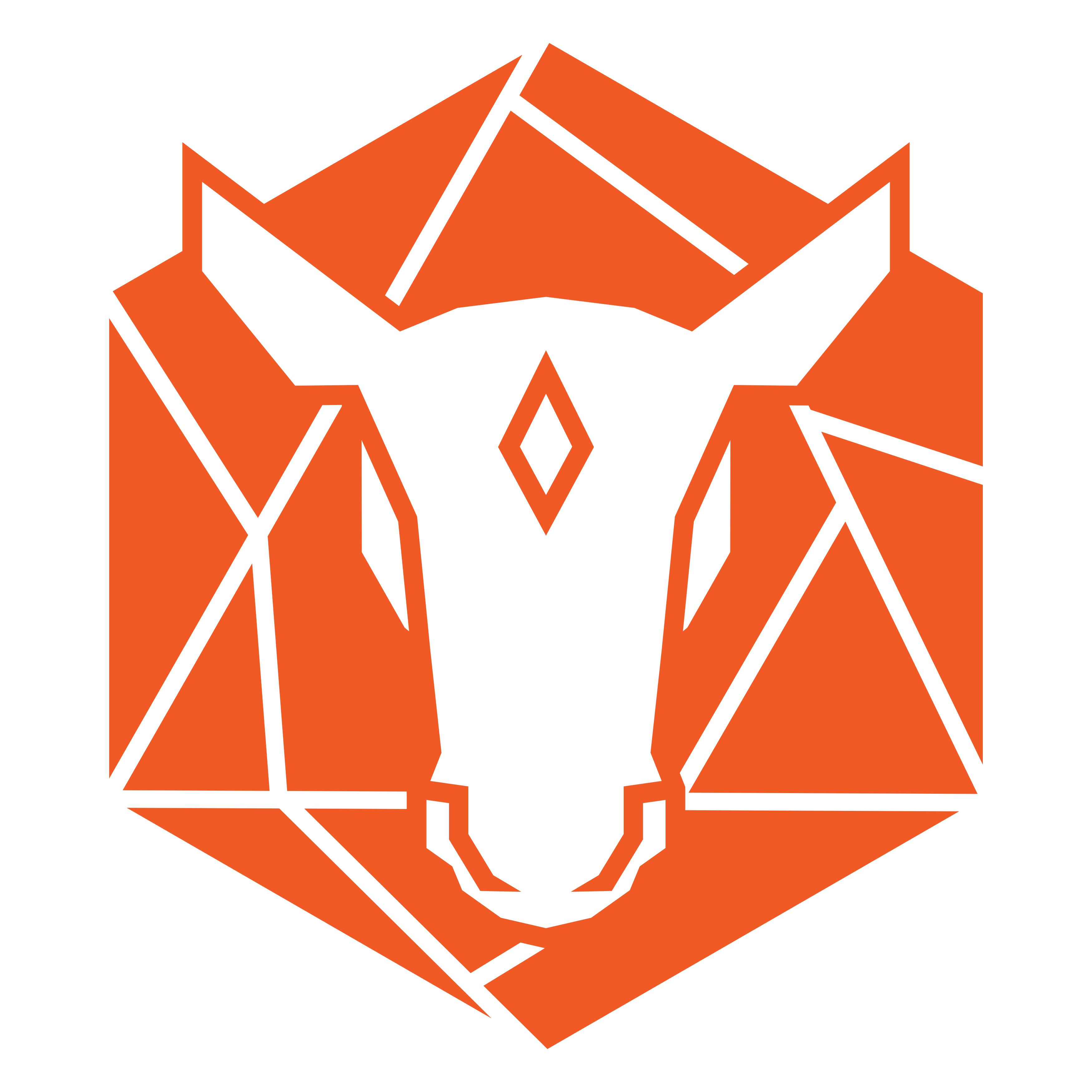 RapidMule