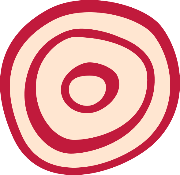 Onion