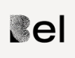 Bel Investigations Inc.