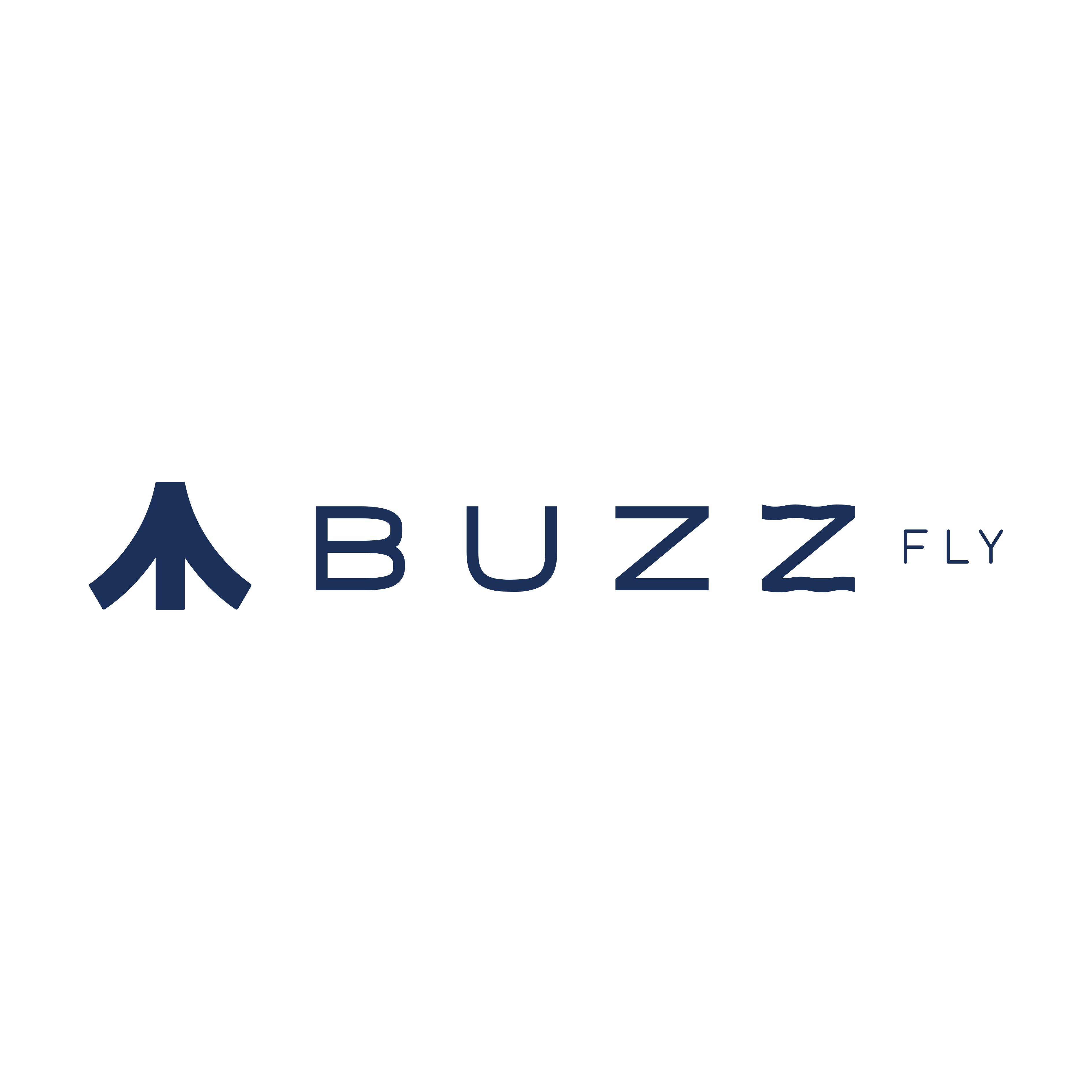Buzz Fly