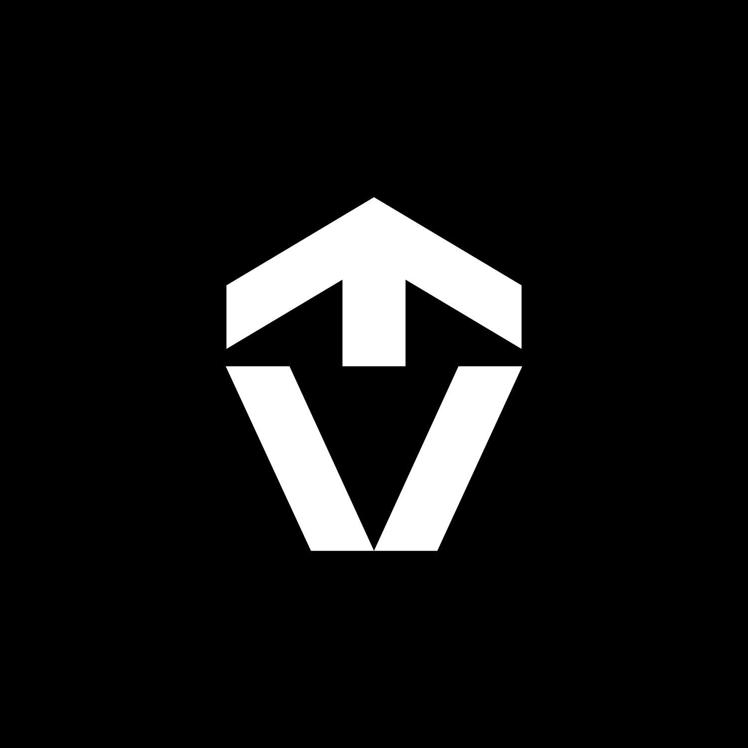 Vertex CGI
