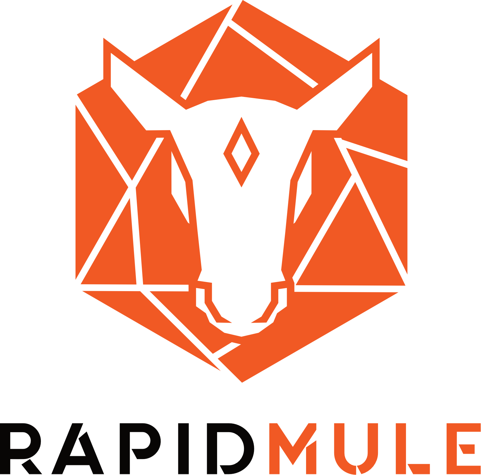 RapidMule