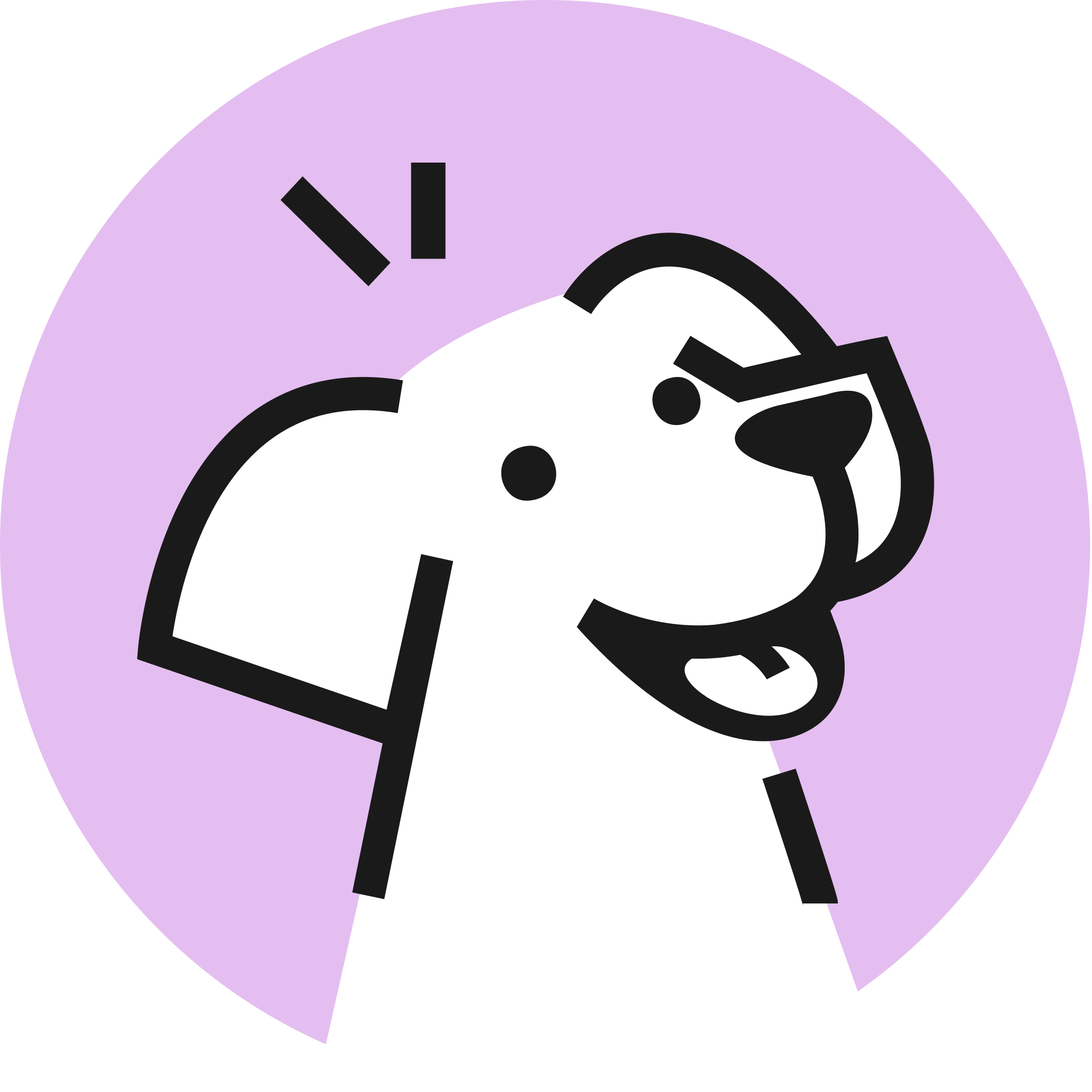 StudyFetch Inc.
