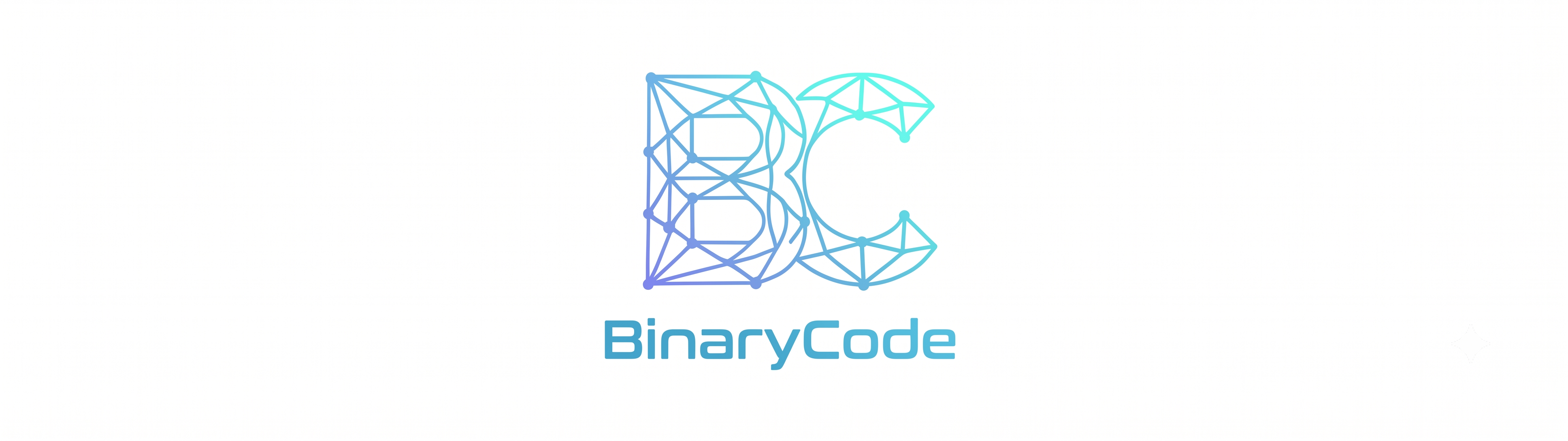 BinaryCode srl