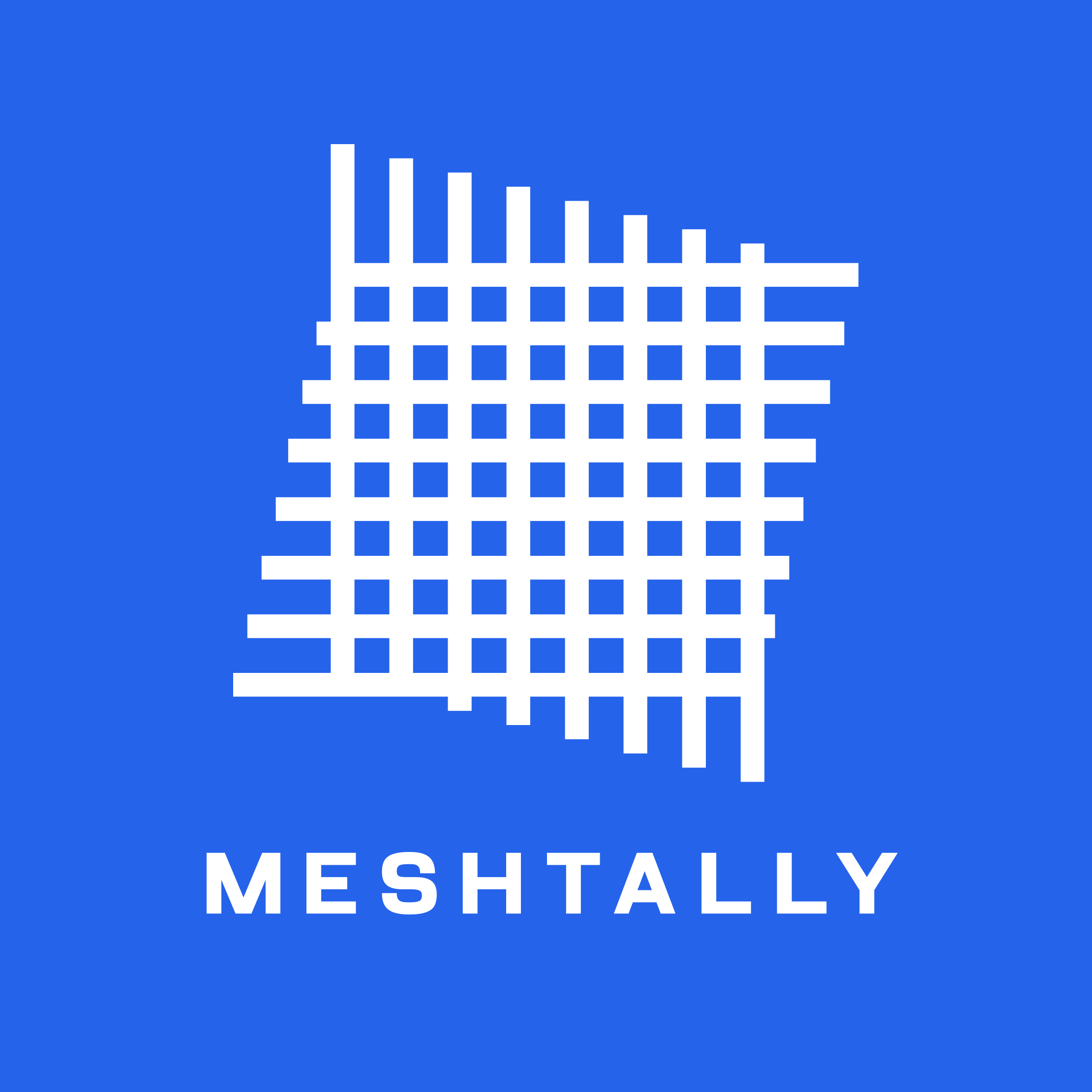 MESHTALLY