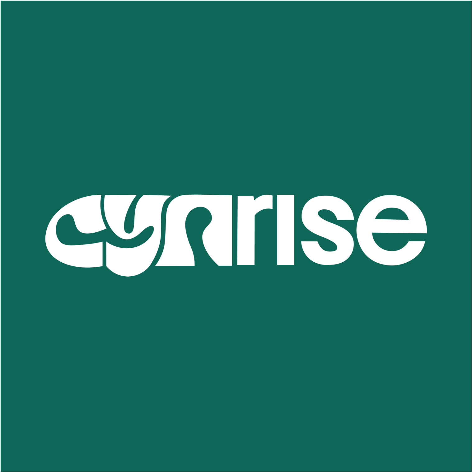 Cynrise GbR