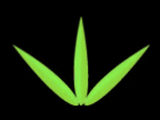 TGP CleanTech