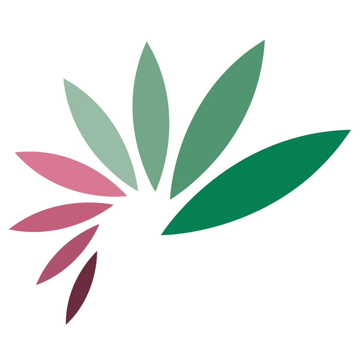 PLANTAFORM TECHNOLOGY INC