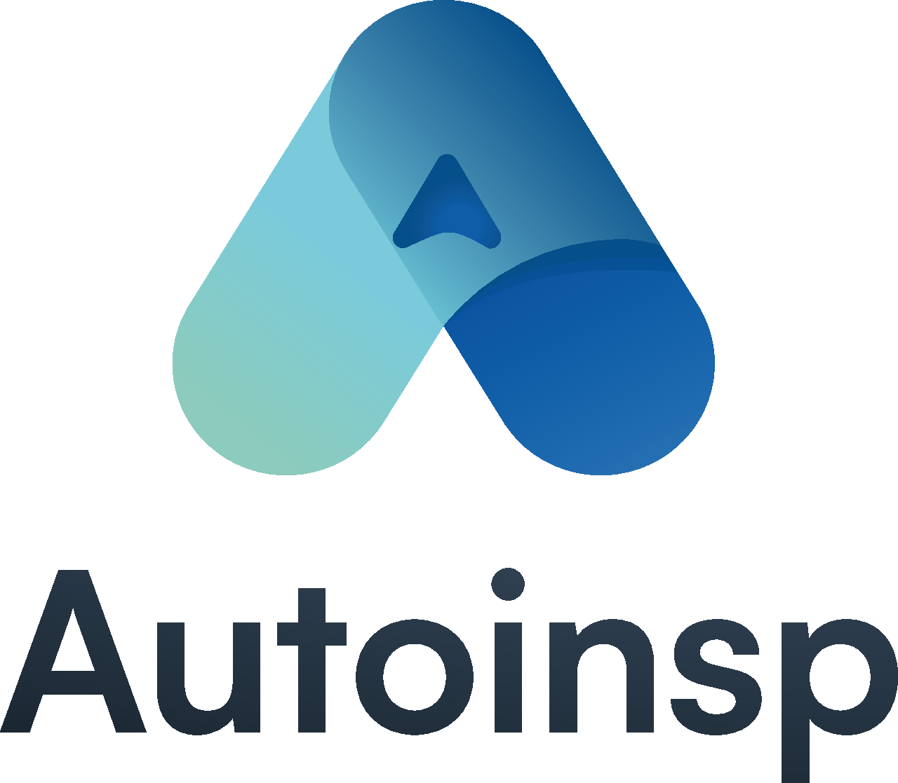 AutoInsp