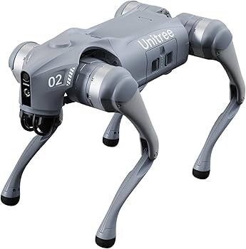 Go2 Robot
