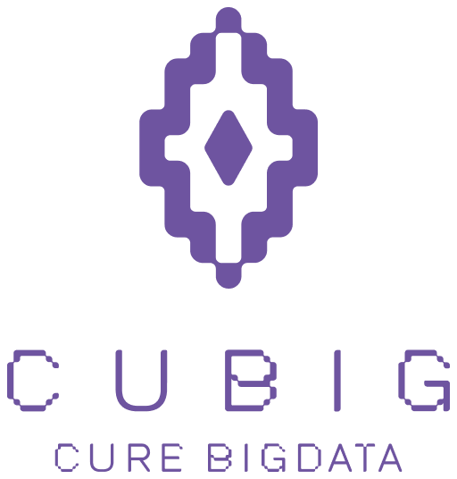 CUBIG Corp.
