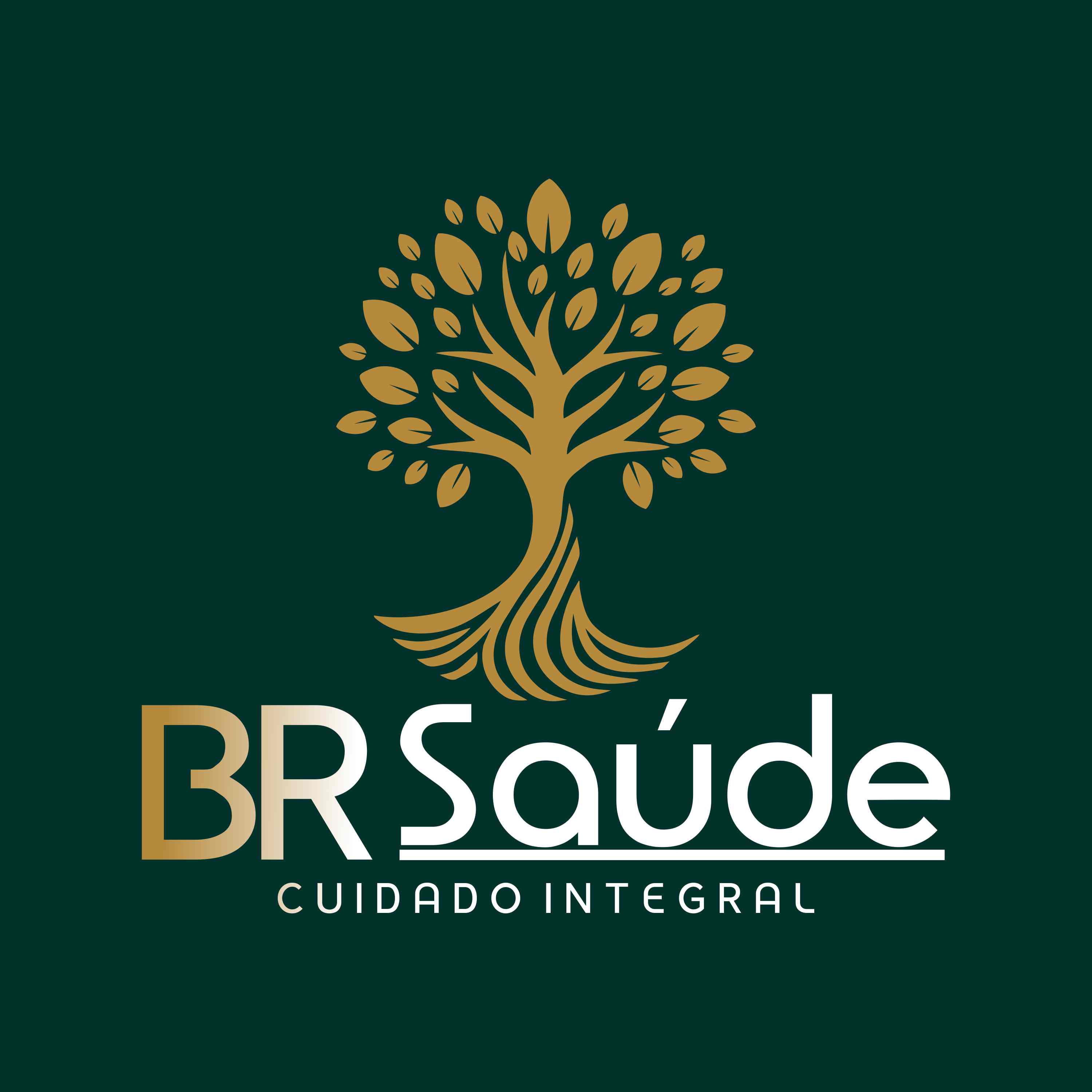 BRSaúde