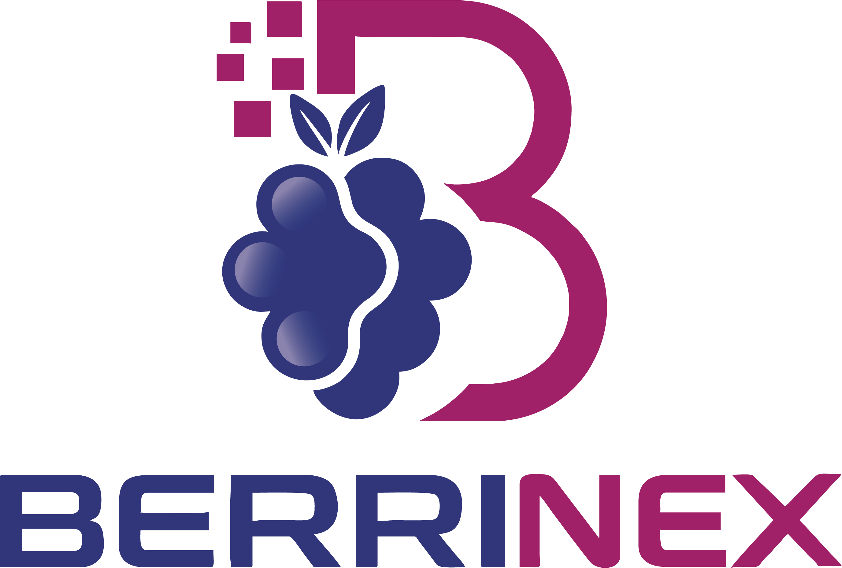 Berrinex FlexKapG
