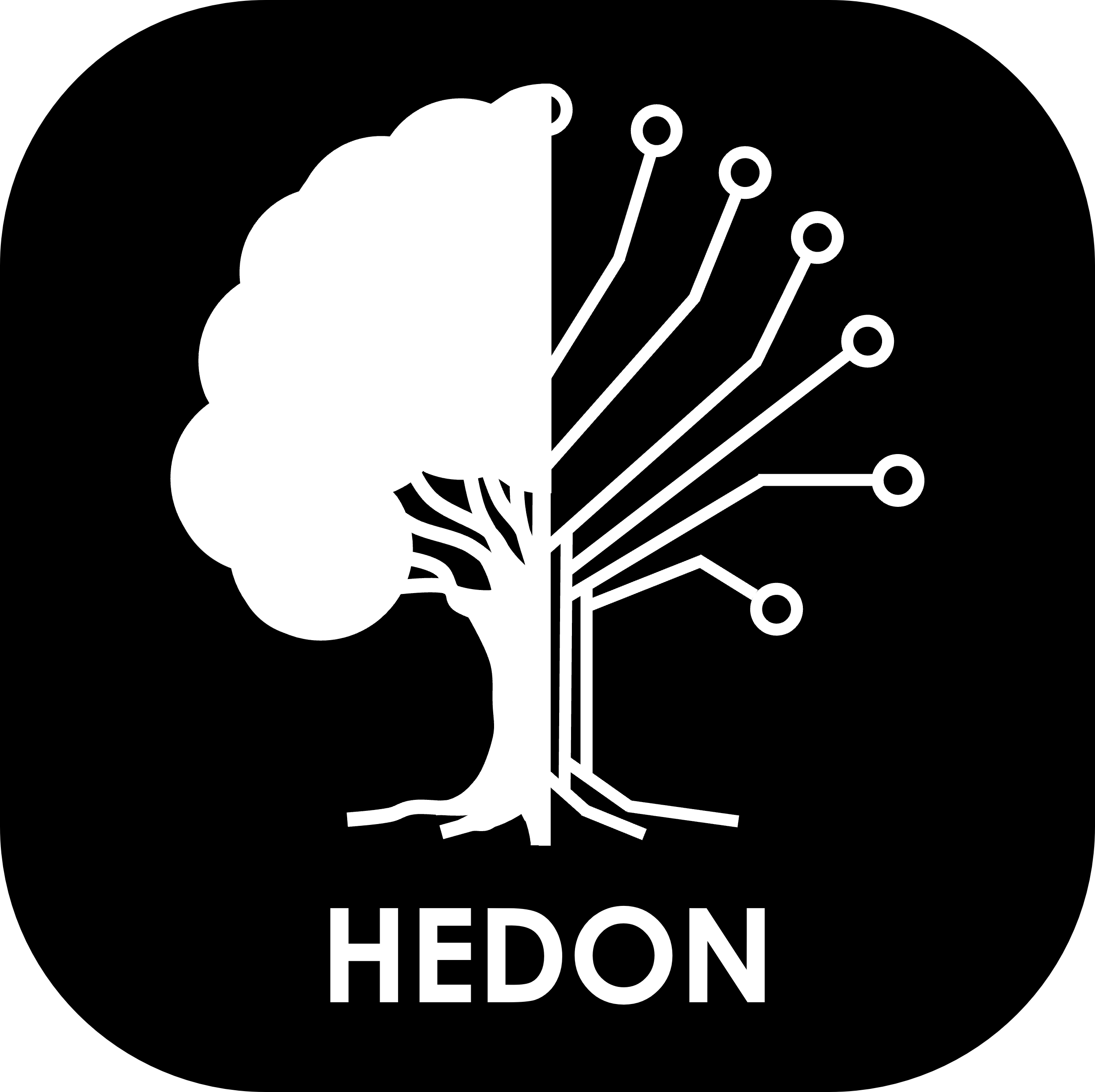 Hedon