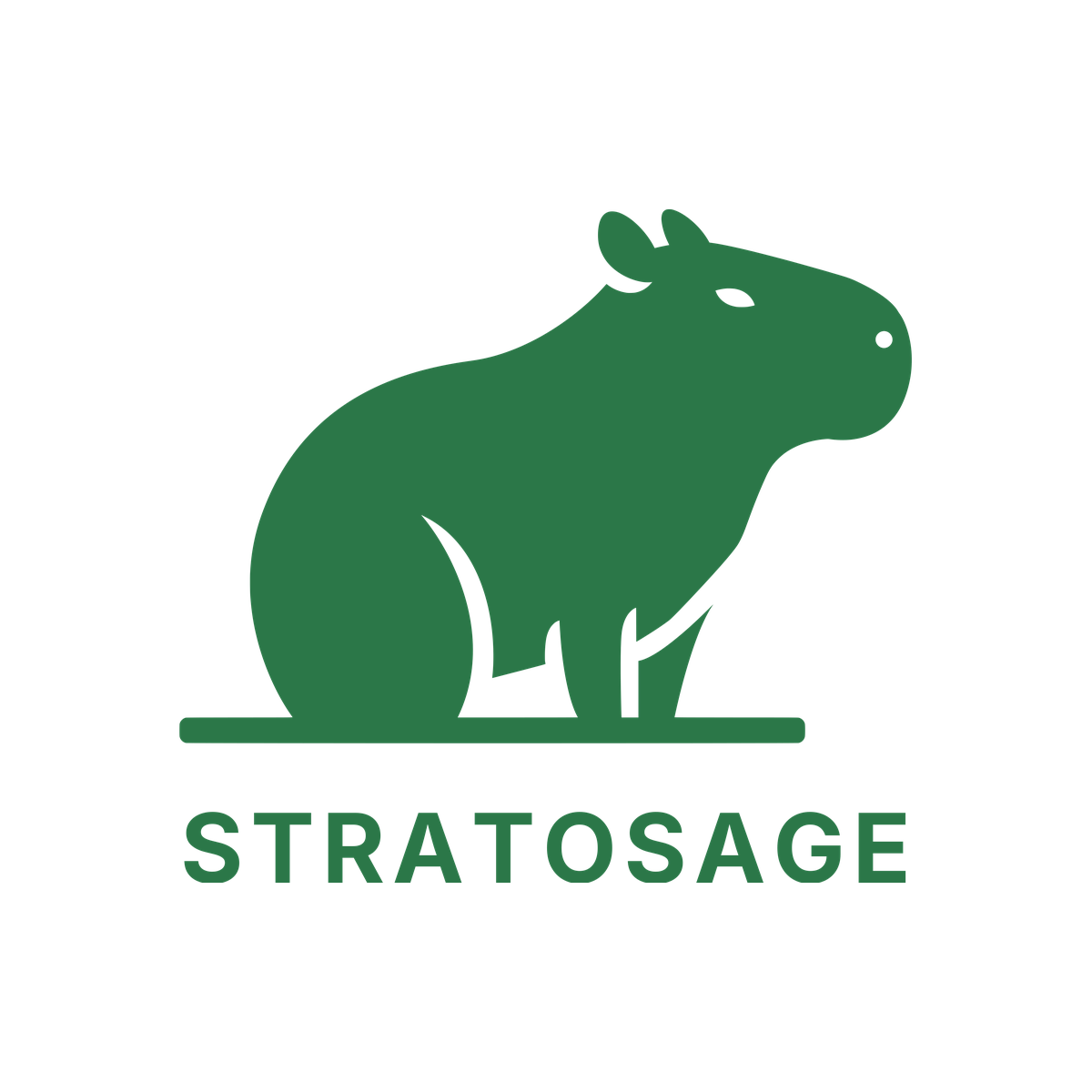 Stratosage