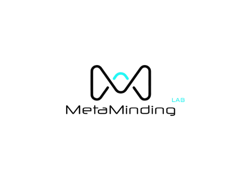 MetaMinding Lab Limited