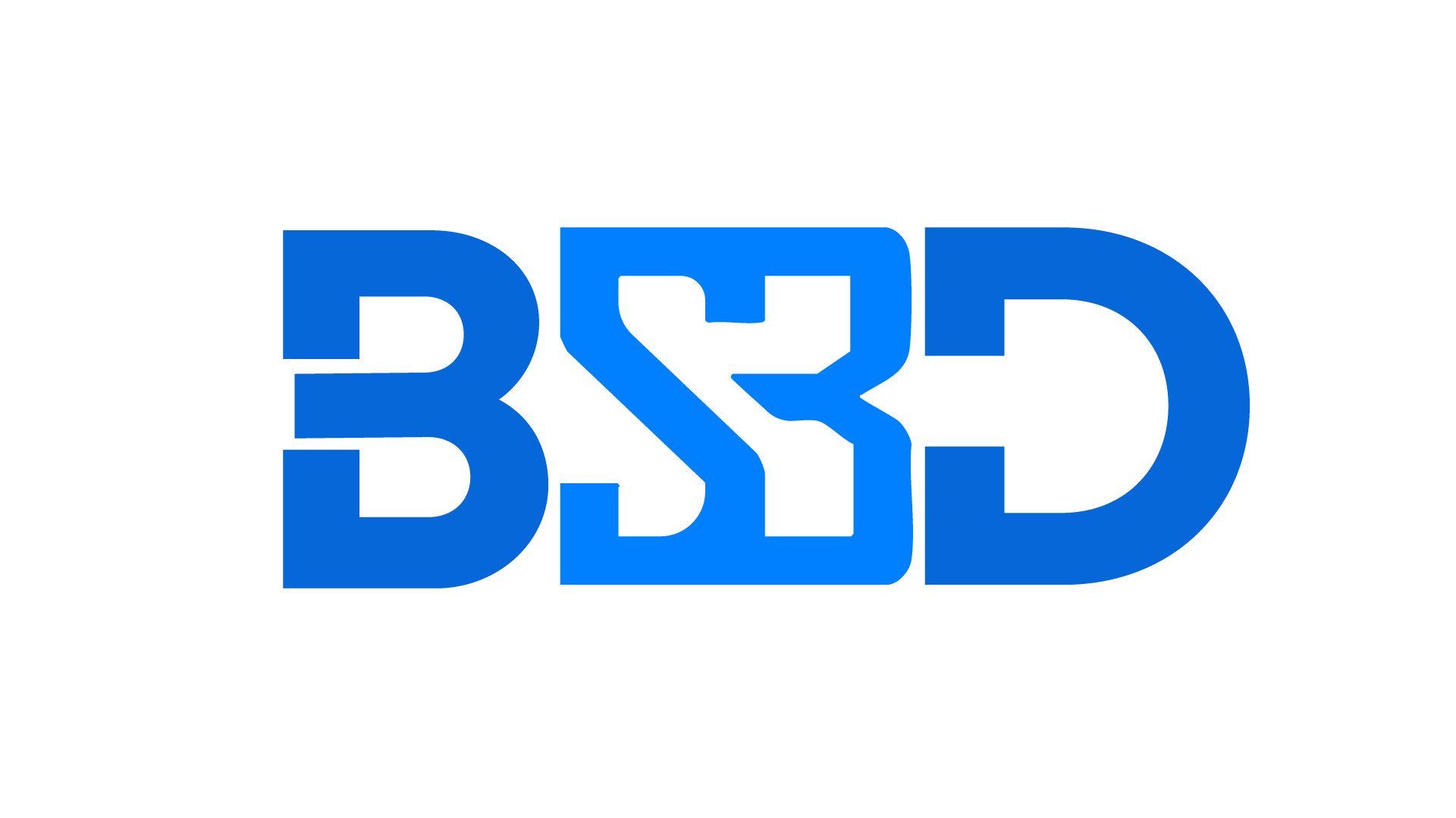 BS3D