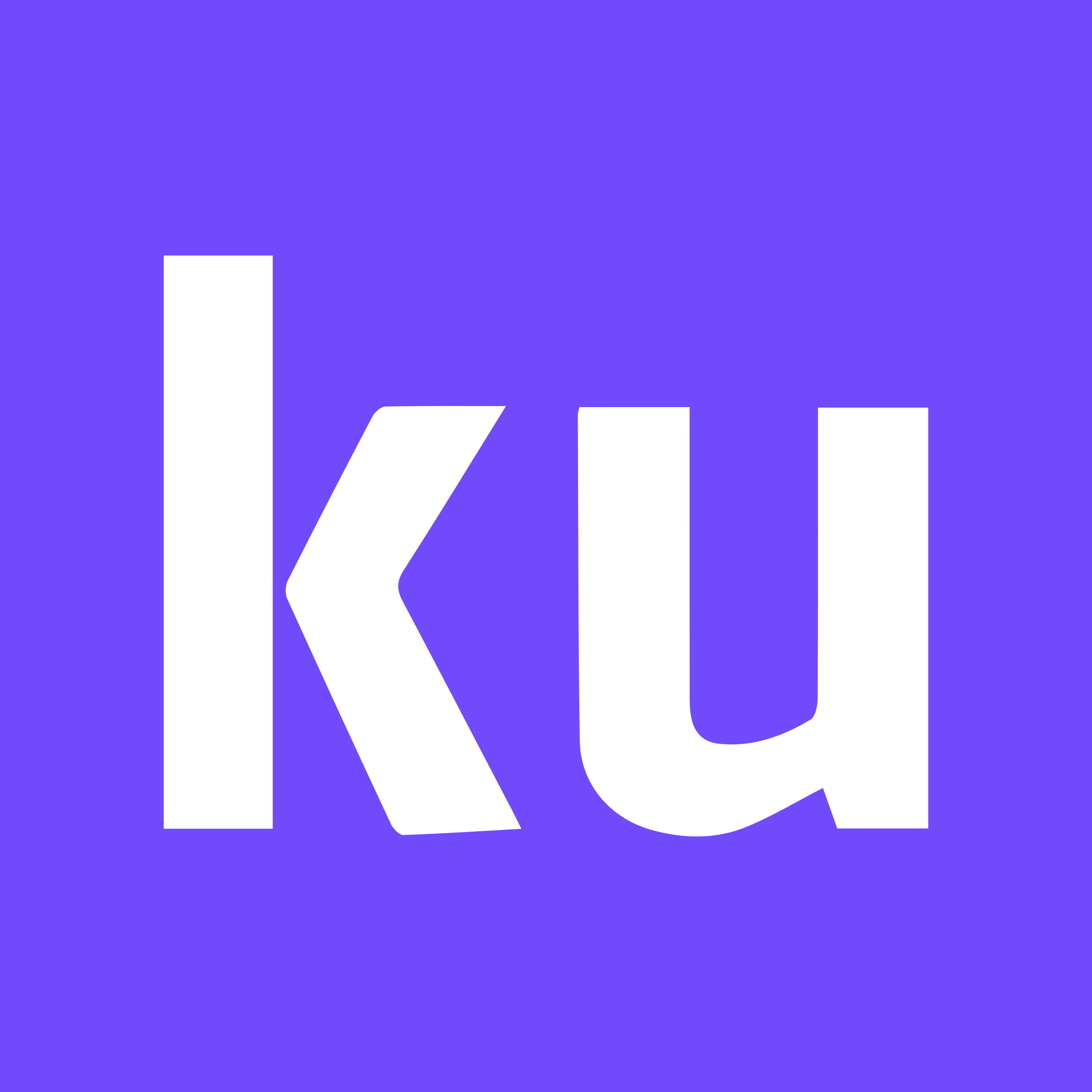 Kunfupay