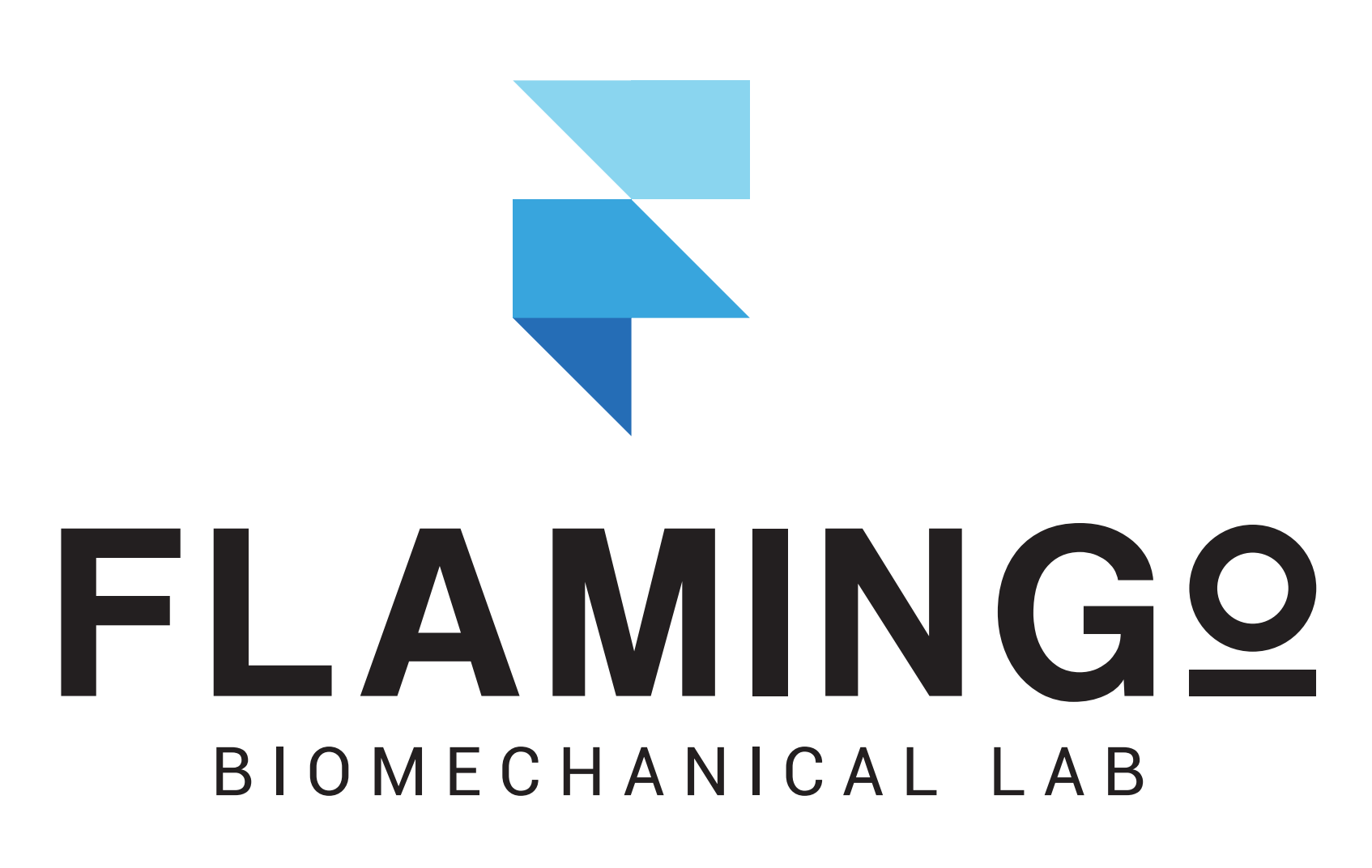 Flamingo Biomechanical Lab