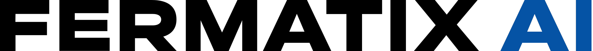 Fermatix AI